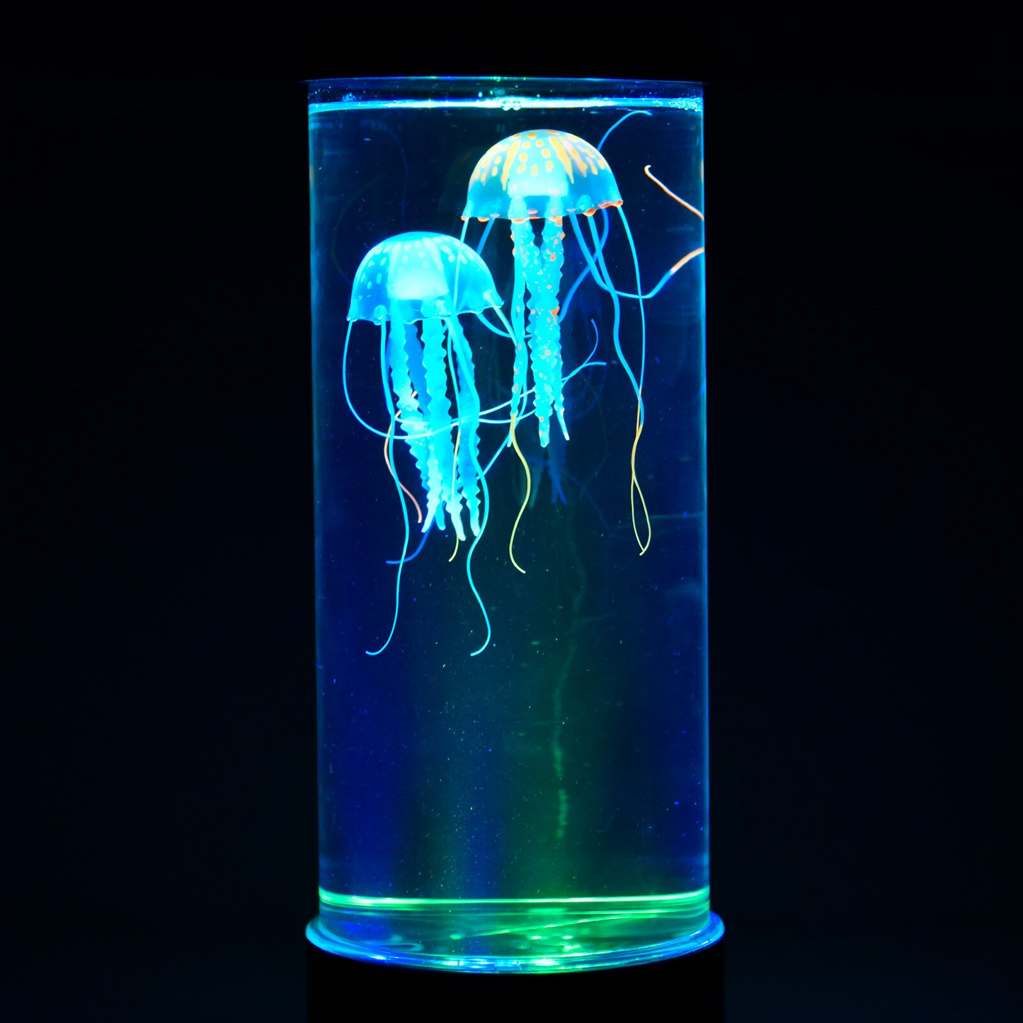 Colorful Jellyfish Lava Lamp